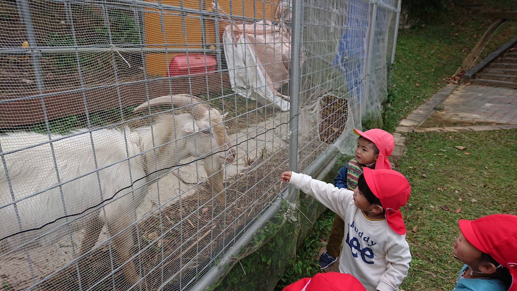 恵育保育園の写真