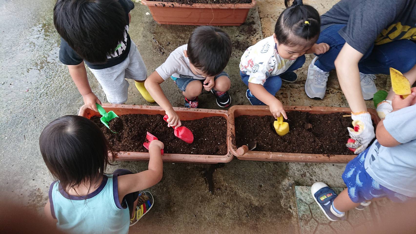 恵育保育園の写真