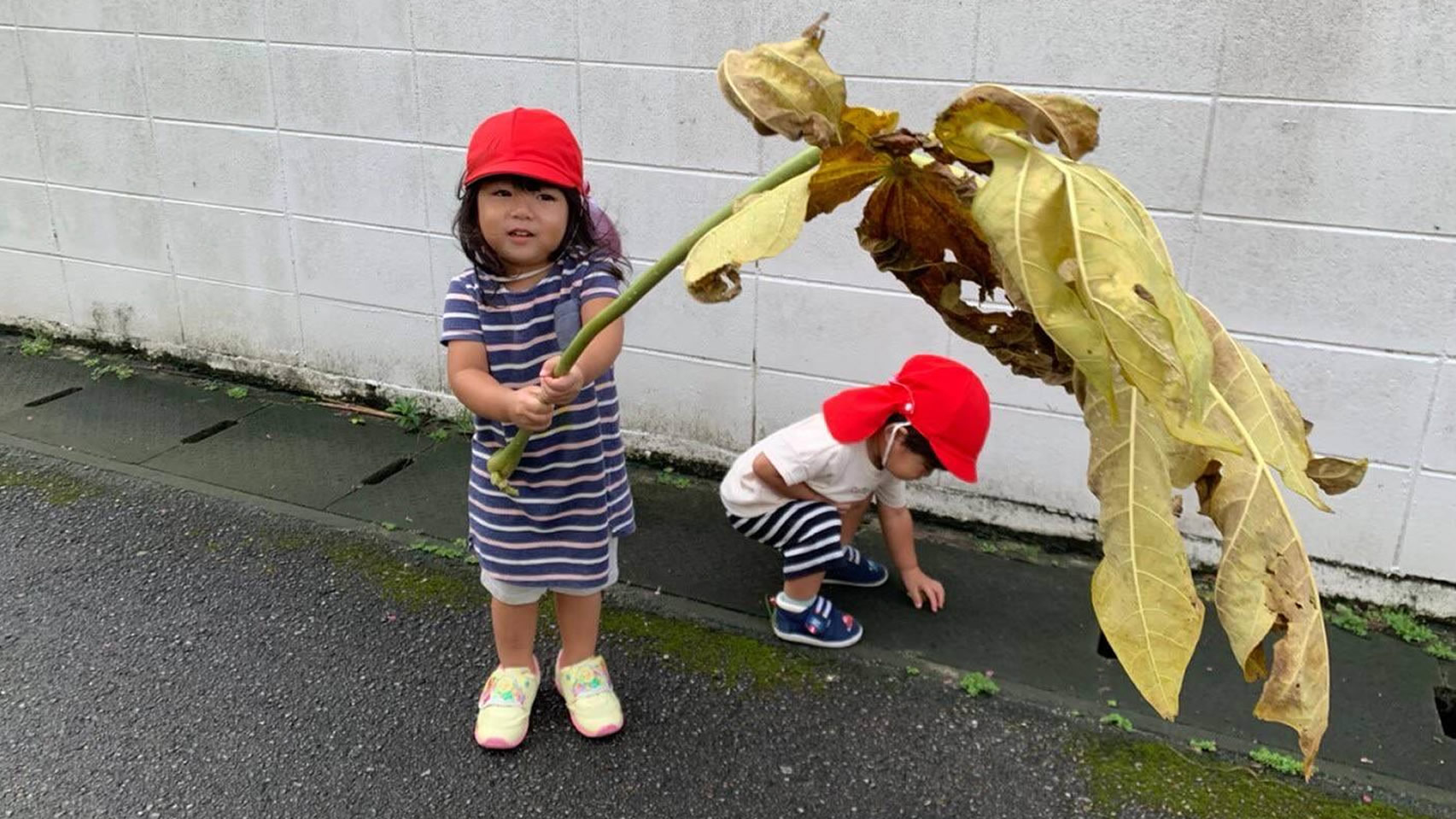 恵育保育園の写真