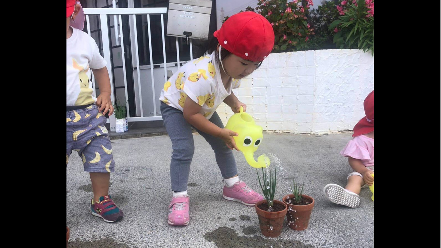 恵育保育園の写真